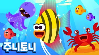 바닷속 마을 | 바닷속에는 어떤 친구들이 살고 있을까요? | 문어, 꽃게, 새우, 에인절피시 | 여름동요 | 바다동물동요 | 주니토니 by 키즈캐슬