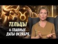 Timestamps: Не Ждите – Октябрьский Шанс Тельцов Изменить Всё (Гороскоп 2024)