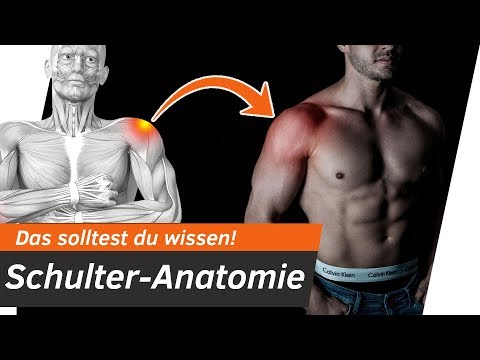 Schultergelenk und Rotatornmanschette ERKLÄRT - Schulterschmerzen - Teil 1 | Andiletics