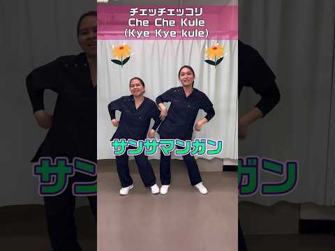 チェッチェッコリ踊ってみた/日本の唱歌てあそび/二酸化マンガン酸化マンガンではない #shorts