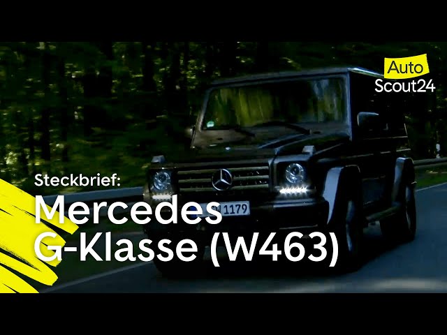 Mercedes Benz G Klasse Infos Preise Alternativen Autoscout24