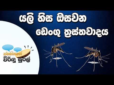 NETH FM Janahithage Virindu Sural 2019.06.10 - යලිත් හිස ඔසවන ඩෙංගු ත්‍රස්තවාදය