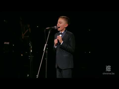 Ajdin Osmanović - Zapjevala Sojka Ptica