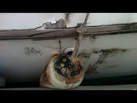 UNTIE THE LINES #1 - Im Dschungel aus Schimmel