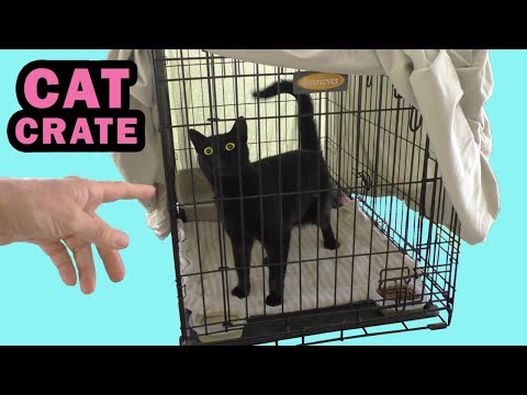 The Best CAT CRATE for your Pet. 3' x 2' Dog Crate Cage Helps Heal and Train