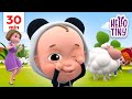 Best Family Songs Peekaboo Please Song And Others Nursery Rhymes Kids Songs Hello Tiny