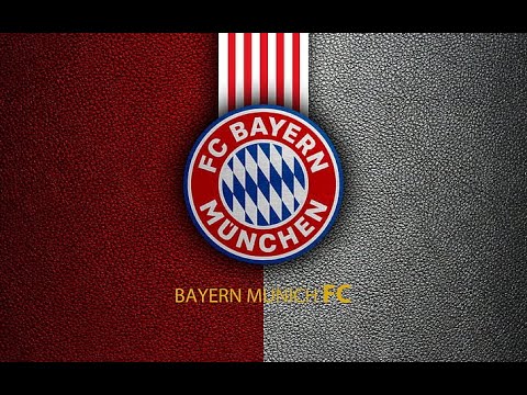 German Championship 2008 09 BL 26 Wolfsburg   Bavaria 1st half