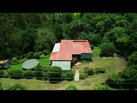 82 Basil Road, Nimbin, NSW 2480, 2房, 1浴, House