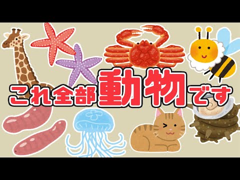 多足動物 (系統分類)について詳しく解説