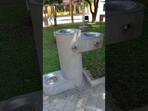 Doñihue, región de O’Higgins, Chile.