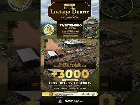 13 de setembro de 2026