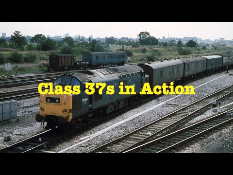 British Rail Class 37s in Action