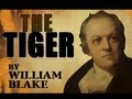 The Tiger by William Blake - Poetry Reading 