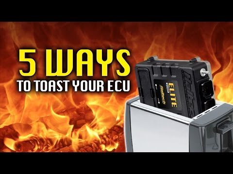 5 Ways to Toast Your ECU | TECHNICALLY SPEAKING
