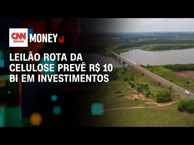 Leilão Rota da Celulose prevê R$ 10 bi em investimentos | Money News