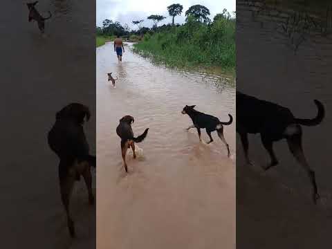 Ramal do Mutum Bujari Acre .