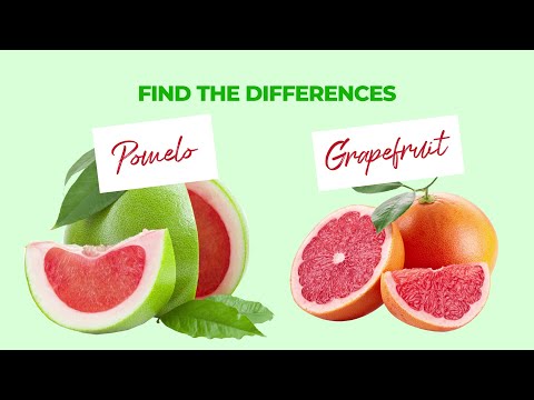HOW TO TELL THE DIFFERENCES: POMELO VS GRAPEFRUIT || FSC