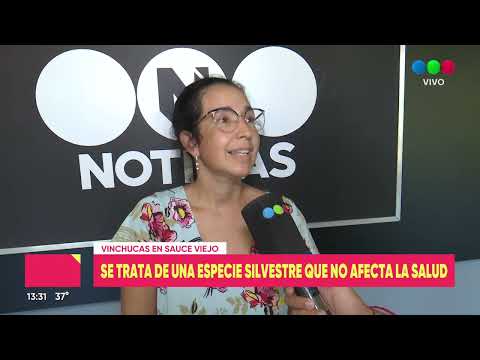 Ante la presencia de vinchucas, descartan riesgos en la población de Sauce Viejo