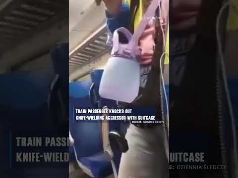 Train passenger knocks out knife-wielding aggressor with suitcase