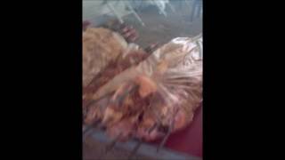 Spit Braai Preparation