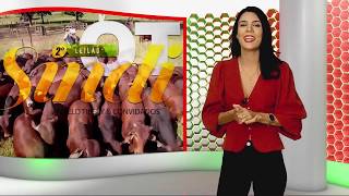 Miniatura do vídeo