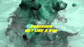 AndeSovs - Wet Like A Dog