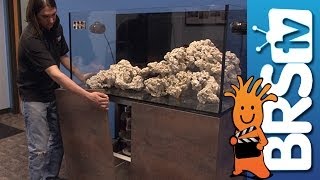 Aquascaping, Filtration, LED Lights & More - EP 2: Clownfish Harem Tank #clownharemtank