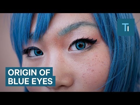 All Blue-Eyed People Have A Single Ancestor In Common