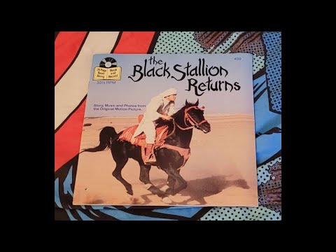 the black stallion returns 1983 book on record