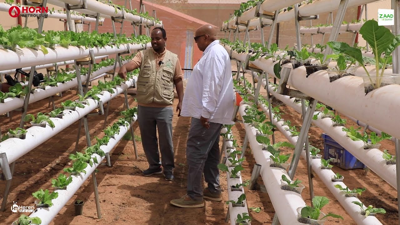 Shariikada CPI waxay wax badan ka tartay horumarinta beeraha iyo qurxinta dhiraynta.