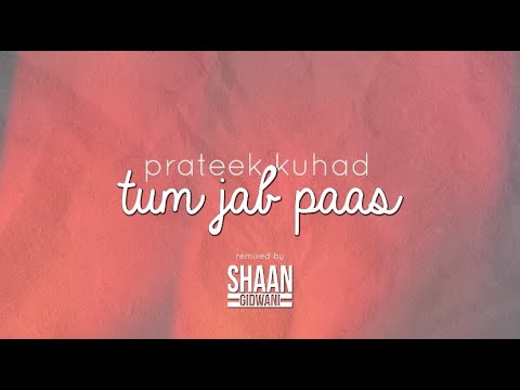 Prateek Kuhad - Tum Jab Paas (DJ Shaan Gidwani Remix)