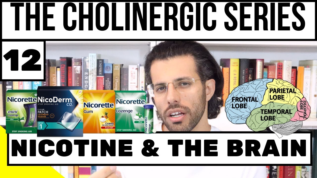 Nicotine & the Brain