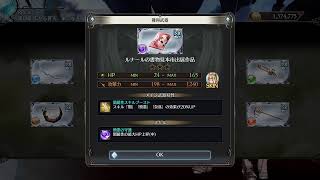 雑談しながらグラブルVSのRPGモードを進める枠