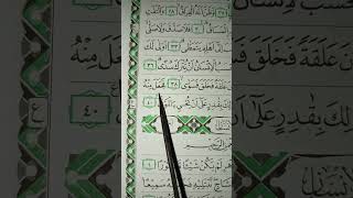 Download lagu AL QIYAMAH AYAT 39 #belajarmengajiquran #suratalqiyamah #alqiyamahayat39 #tahsinalqiyamah #ngajiyok mp3