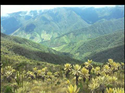 Resumen de Noticias jueves 02 de julio de 2015 [Noticias] - TeleMedellin