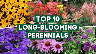 10 Long Blooming Perennials for a Colorful Garden 👌🌿💚  // PlantDo Home & Garden 🍃