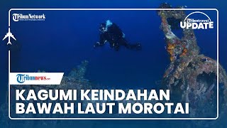 Berkunjung ke Pulau Morotai, Istri Mendagri Tito Karnavian Kagum dengan Keindahan Wisata Morotai