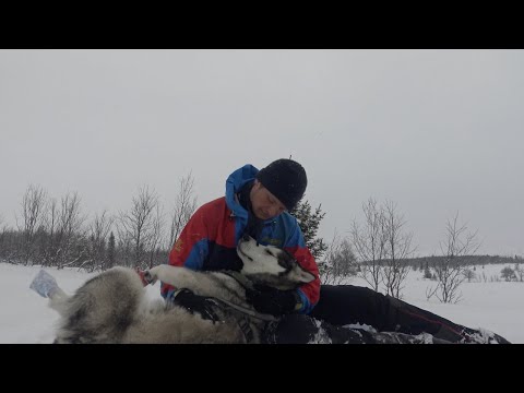 Norge på langs gjennom alle årstider (2/2)