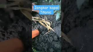Download lagu Lihat saya temukan jangkar kapal Titanic #hartakarun #hiburan mp3