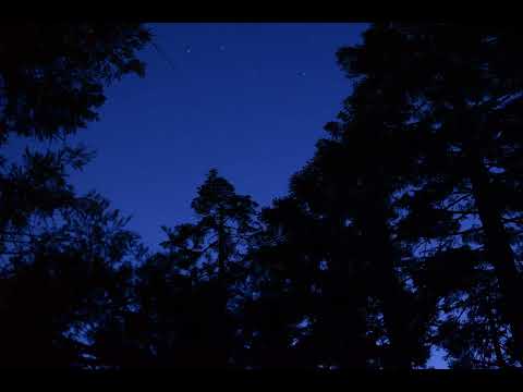 Move-Shoot-Move dusk timelapse