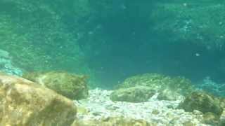 preview picture of video 'Xperia Z - Underwater (HD) - Blue Eye - Albania 2013'