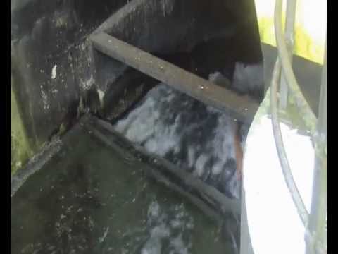 Vandretur - Mølleåen - 22. januar 2013