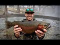 Solo Camping And Rainbow Trout Fishing In The Texas Hill Country Catch And Cook Trout Burgers
