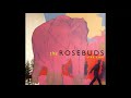 The Rosebuds - Hello Darlin (Short version)