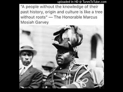 Melanated Roots: U.S. Citizenship trick and the Colonization of America