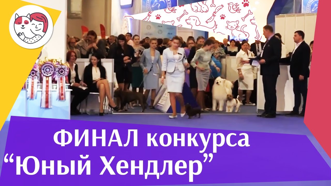 Финал конкурса юного хендлера 19 03 17 на Евразии ilikepet