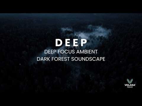 3.75 Hours Deep Focus Ambient Music for Work & Study | Dark Forest Soundscape | Volana Sound