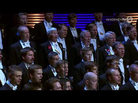 Akademen – Sibelius: Finlandia-hymni, from Op.26 (20/4/2013)