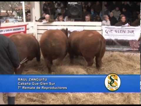 RAUL ZANGUITU - Gue Glen Sur - Chascomús - 15/07/2013