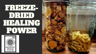 DIY Turmeric & Ginger Capsules Using a Harvest Right Freeze Dryer